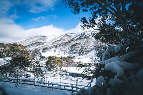 Pure Chalet Thredbo - Kingaroy Accommodation 31