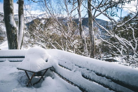 Pure Chalet Thredbo - Kingaroy Accommodation 19