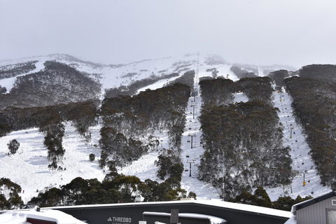 Pure Chalet Thredbo - Kingaroy Accommodation 6