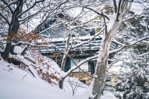 Pure Chalet Thredbo - Kingaroy Accommodation 27