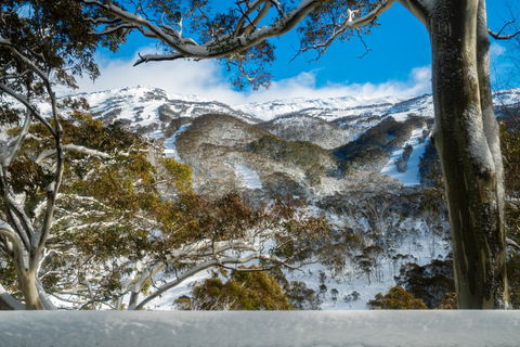 Pure Chalet Thredbo - Kingaroy Accommodation 17