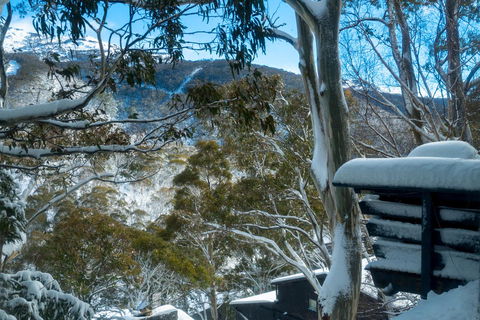 Pure Chalet Thredbo - Kingaroy Accommodation 30