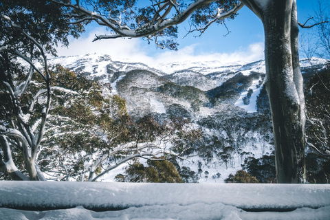 Pure Chalet Thredbo - Kingaroy Accommodation 2