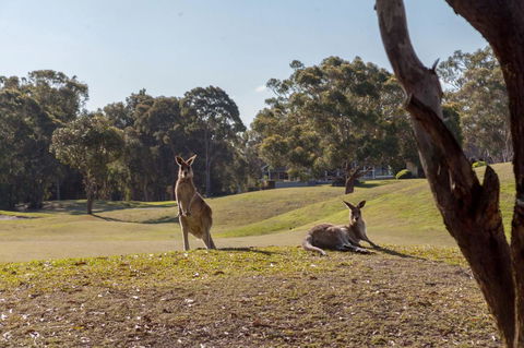 Horizons Retreat & Golf, Villa 133 - Kingaroy Accommodation 18