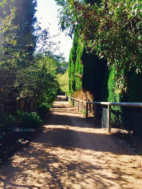 Bowral Escape - Kingaroy Accommodation 24