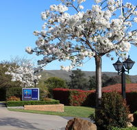 Hume Country Motor Inn - Kingaroy Accommodation