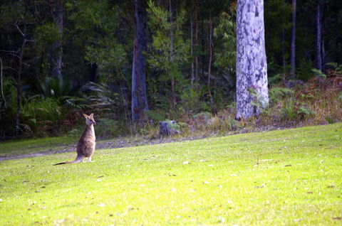 Jackson Ranch By Bannisters - Kingaroy Accommodation 31