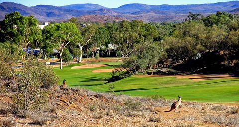 Desert Palms Alice Springs - Kingaroy Accommodation 30