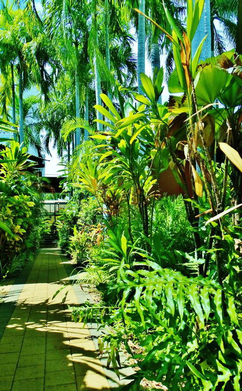 Palms City Resort - Kingaroy Accommodation 14