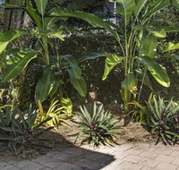 Nineteen on Nudl - Kingaroy Accommodation