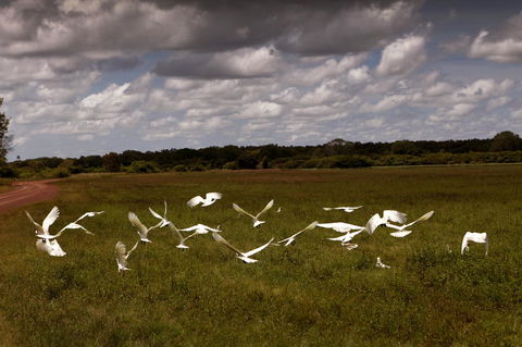 Wildman Wilderness Lodge - Kingaroy Accommodation 20