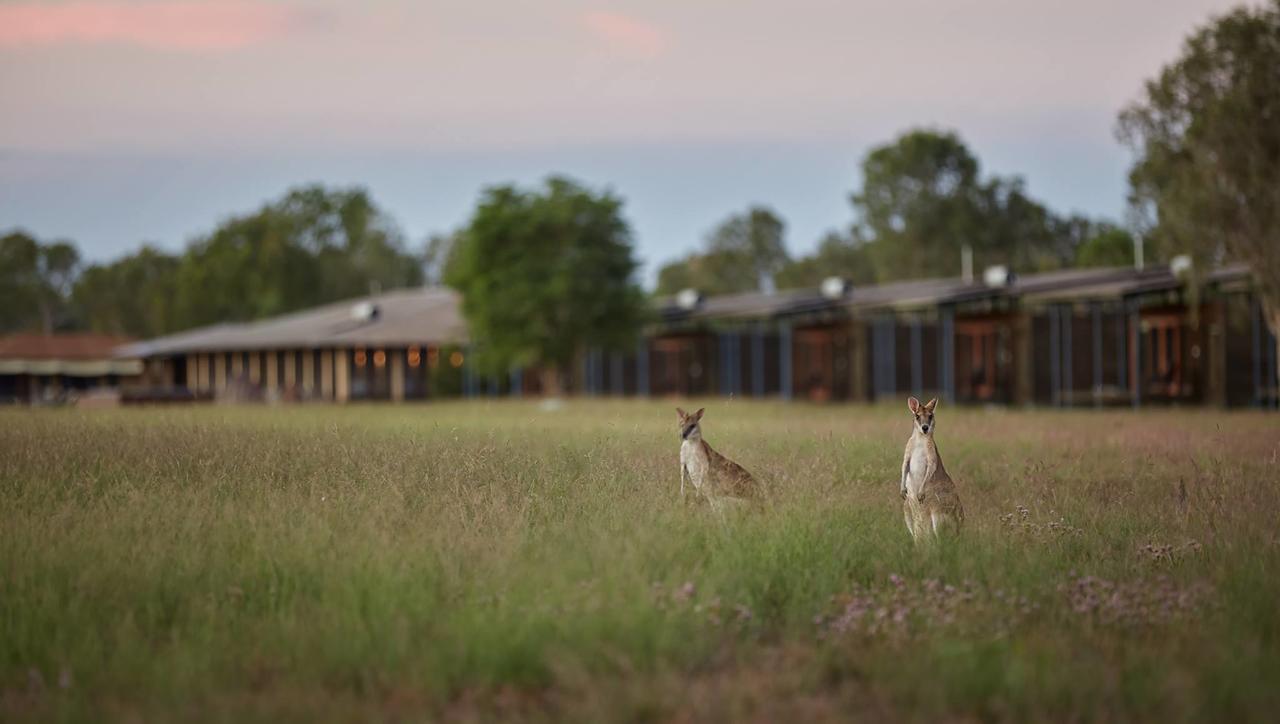 Milingimbi NT Kingaroy Accommodation