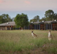 Wildman Wilderness Lodge - Kingaroy Accommodation
