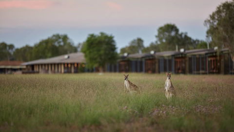 Wildman Wilderness Lodge - Kingaroy Accommodation 0
