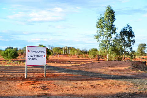 Erldunda Desert Oaks Resort - Kingaroy Accommodation 28