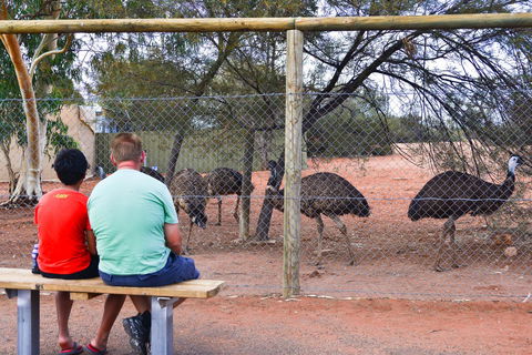 Erldunda Desert Oaks Resort - Kingaroy Accommodation 21
