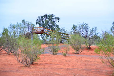 Erldunda Desert Oaks Resort - Kingaroy Accommodation 42
