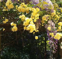 Bowral Road Bed and Breakfast - Kingaroy Accommodation