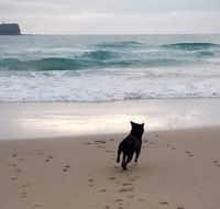 Breakers at Mudjimba Beach - Kingaroy Accommodation