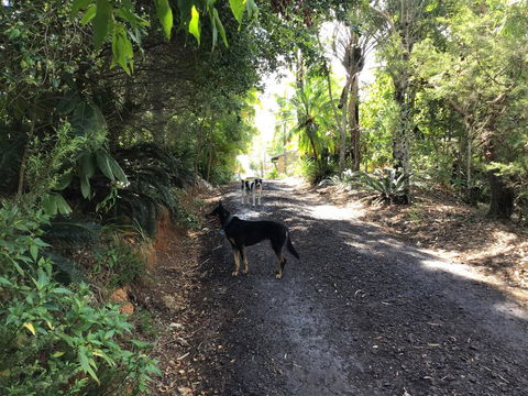 Bunya Cottage - Kingaroy Accommodation 2
