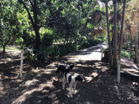 Bunya Cottage - Kingaroy Accommodation 3