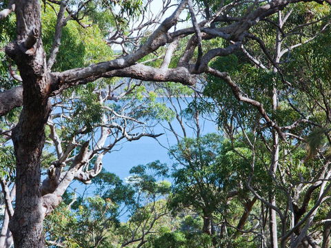 Bynya - 100m To Jonahs! - Kingaroy Accommodation 1