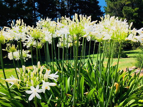 Carawah Ridge - Kingaroy Accommodation 1