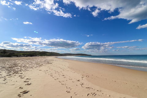 Catho Cottage - Kingaroy Accommodation 2