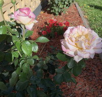 Central Tranquility - Kingaroy Accommodation