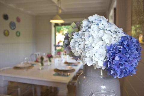 Cherry Cottage - Leura - Kingaroy Accommodation 1
