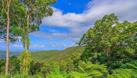 CLOUD 9 - Cliff Top Eagle Heights - Kingaroy Accommodation 3