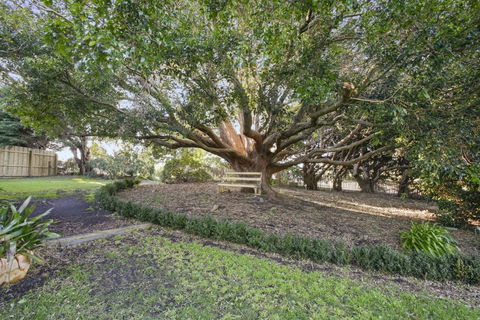 Cosy Californian Bungalow - Kingaroy Accommodation 1