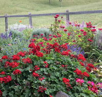 Country Mile Escape - Kingaroy Accommodation