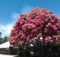 Crossways Country Inn - Kingaroy Accommodation