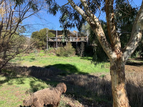 Cullen House - Kingaroy Accommodation 1