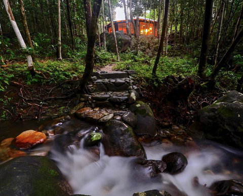 Daintree Cascades - Kingaroy Accommodation 0