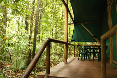 Daintree Crocodylus - Kingaroy Accommodation 1