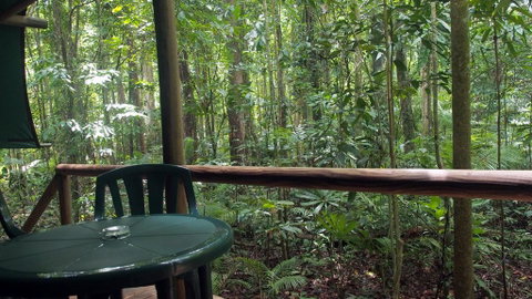 Daintree Crocodylus - Kingaroy Accommodation 2
