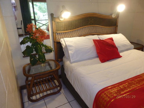 Daintree Deep Forest Lodge - Kingaroy Accommodation 0