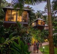Daintree Ecolodge - Kingaroy Accommodation