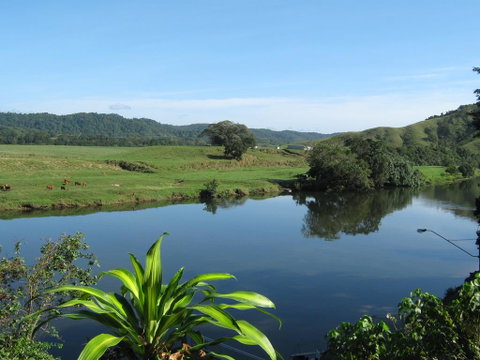 Daintree Riverview Lodges - Kingaroy Accommodation 0