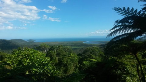 Daintree Village Hideaway - Kingaroy Accommodation 1