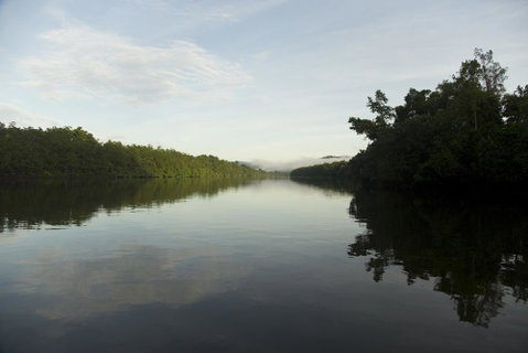 Daintree Village Hideaway - Kingaroy Accommodation 2