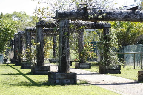 Daintree Wild Bed & Breakfast - Kingaroy Accommodation 2