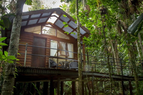 Daintree Wilderness Lodge - Kingaroy Accommodation 2