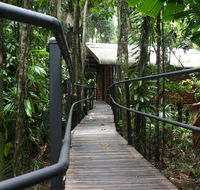 Daintree Wilderness Lodge - Kingaroy Accommodation