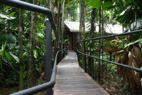 Daintree Wilderness Lodge - Kingaroy Accommodation 0