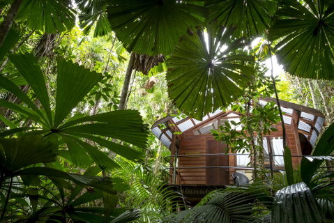 Daintree Wilderness Lodge - Kingaroy Accommodation 1