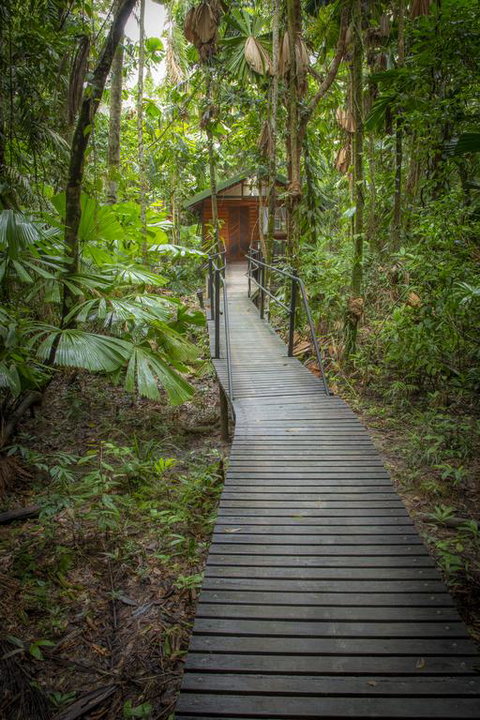 Daintree Wilderness Lodge - Kingaroy Accommodation 3