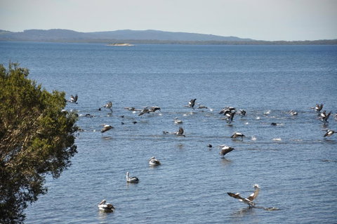 Denmark Waters B&B - Kingaroy Accommodation 0